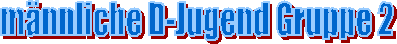 mnnliche D-Jugend Gruppe 2