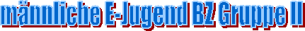 mnnliche E-Jugend BZ Gruppe II